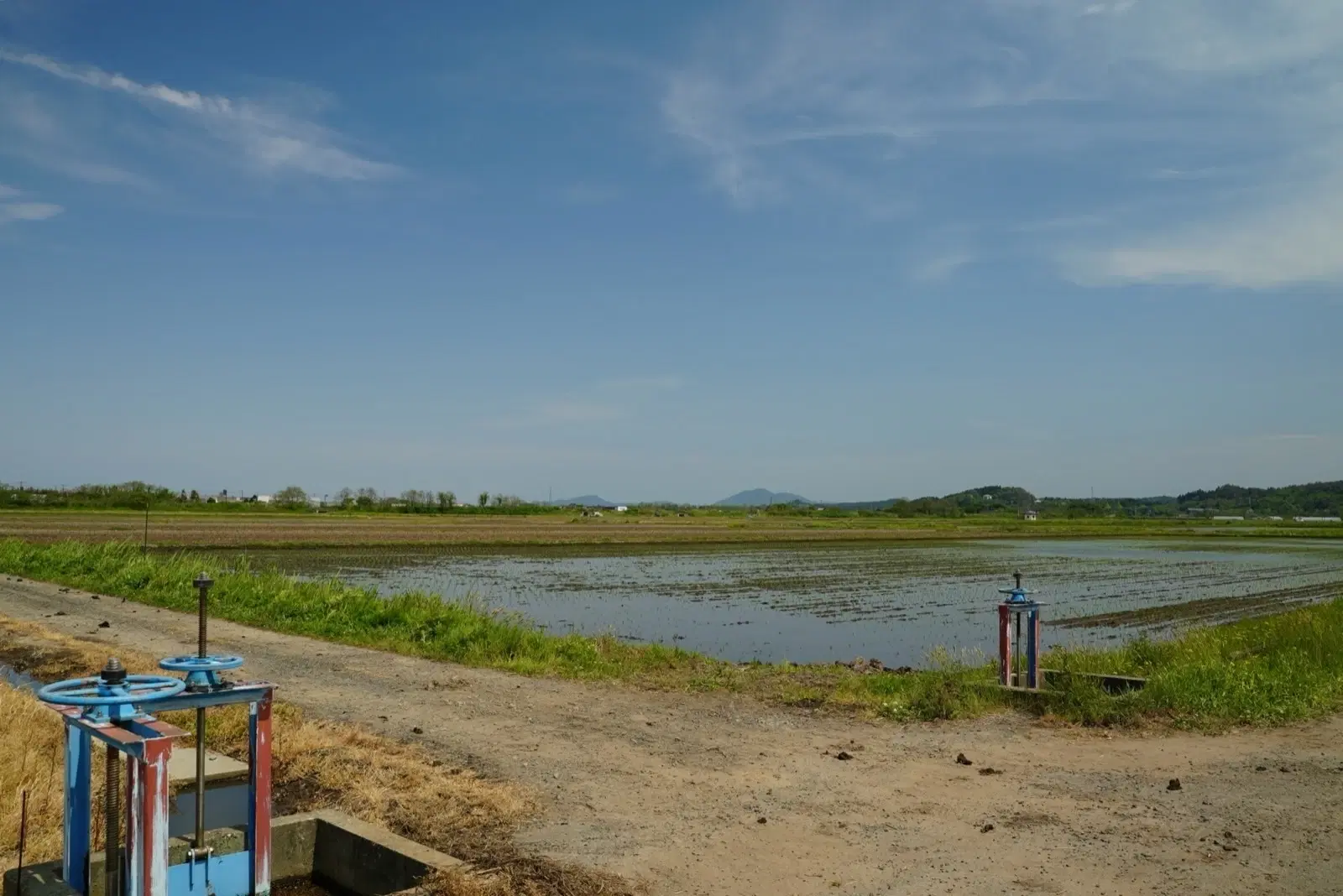 2026/05/18 田植え風景 4