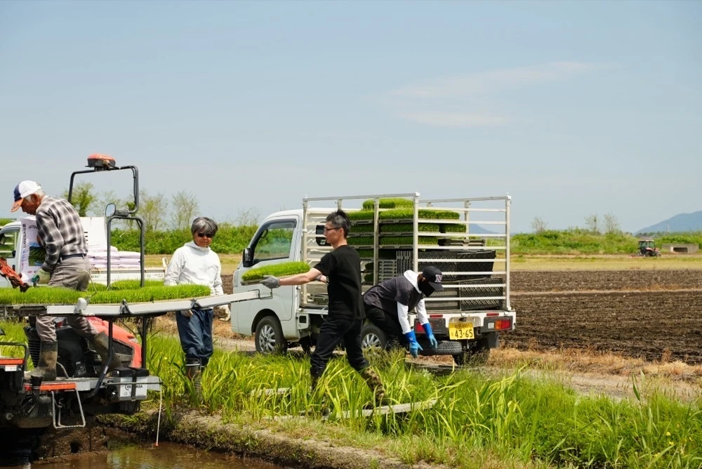2026/05/18 田植え風景 2